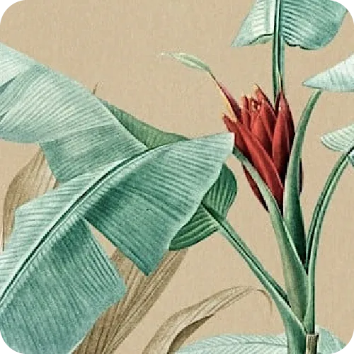 Premium Tropical Wallpaper